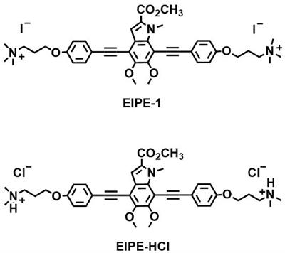 Relationship between cell envelope ultrastructure and the antibacterial properties of a novel hydrophobic eumelanin-inspired derivative